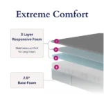 【New User Exclusive Offer】Human-Dog Shared Bed / Floor Sofa Bed - Image 7