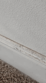 Vapurite SteamPro X - Image 29